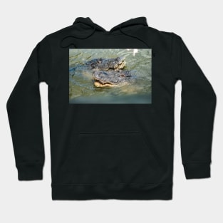 Double trouble with Alligators Hoodie